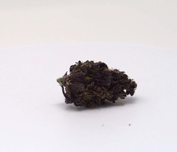 Buy Blackberry Kush online in Kuala Lumpur