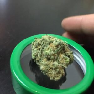 Buy Blue Dream Online in Kuala Lumpur