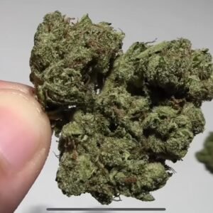 buy weed online in Kuala Lumpur